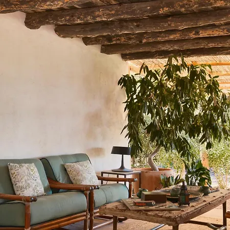 The Guardian House