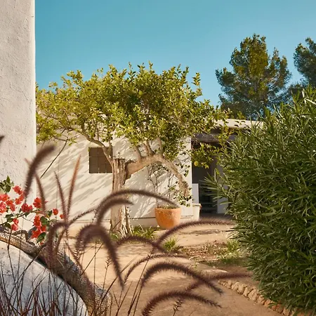Гостевой дом The Guardian House Santa Gertrudis (Ibiza)