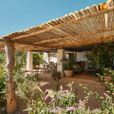 The Guardian House *